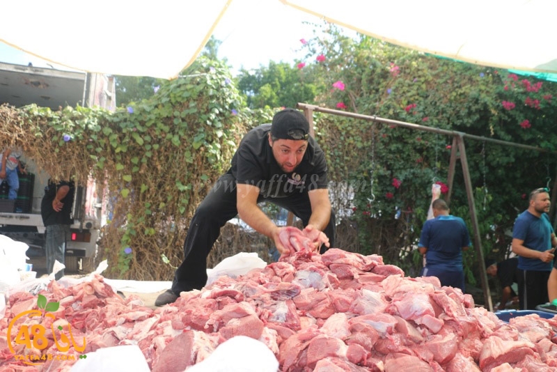 jam3i3yaysu3i (4).JPG